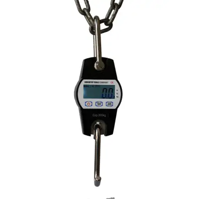 Cantar industrial pentru macara 300 kg