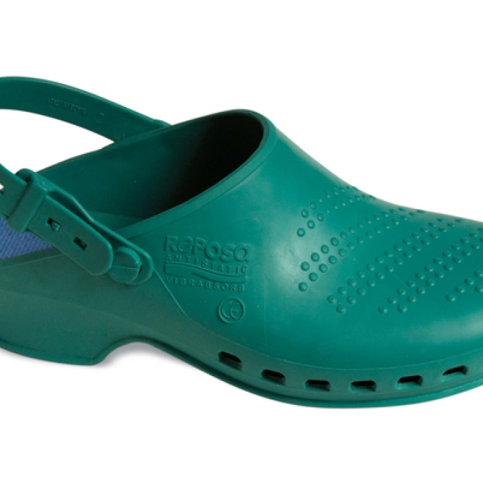 Papuci unisex Aurora