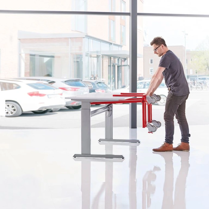 Platforma transport multifunctionala - 250 kg