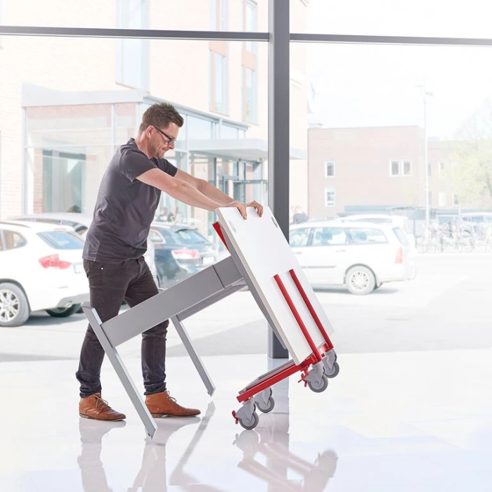 Platforma transport multifunctionala - 250 kg