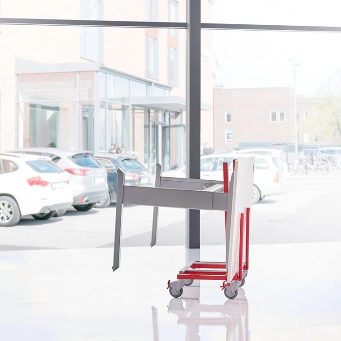 Platforma transport multifunctionala - 250 kg