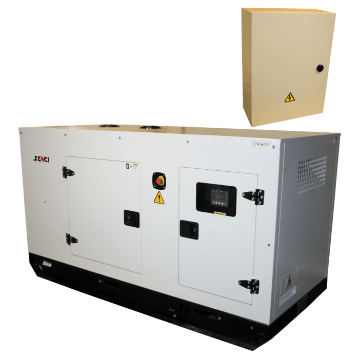 Generator de curent insonorizat SCDE 55YS-ATS
