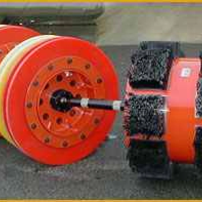 Pig de curatare cu perii