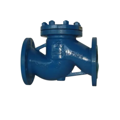 Filtru impuritati Y - PN 40 - 100 mm