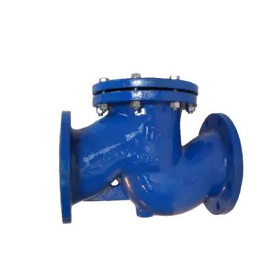 Filtru impuritati Y - PN 16 - 100 mm