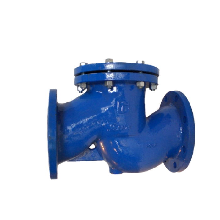 Filtru impuritati Y - PN 16 - 100 mm