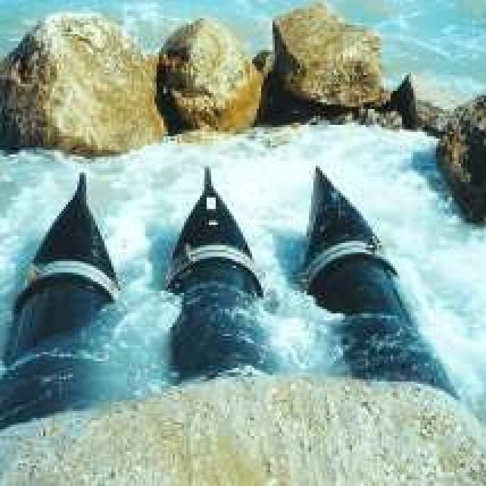 Valva antiretur cu flansa